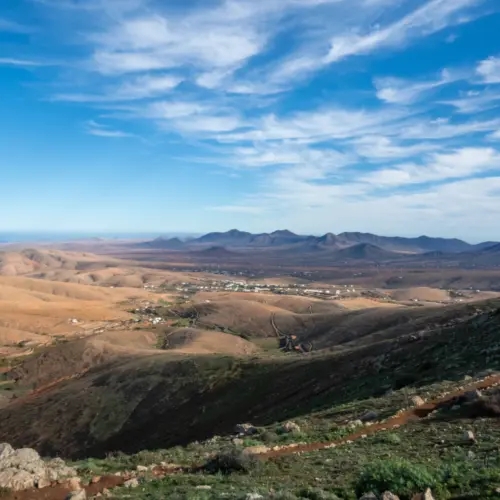 iStock-1456021430guise ayose_result